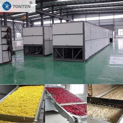 लिची सेब अनानास अंगूर बेल्ट ड्रायर मशीन Dehydrator ड्रायर